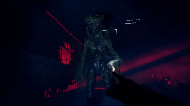 The Origin: Blind Maid