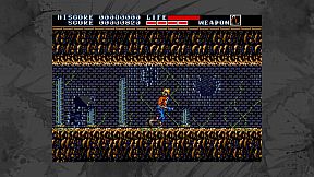 Earnest Evans Collection