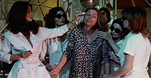 ROUGH KUTS: Invasion of the Bee Girls