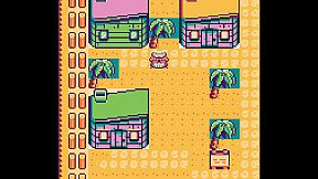 Toni Island Adventure