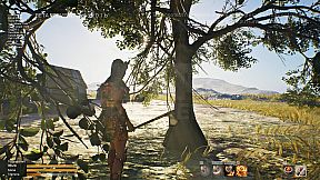 Quipu Runner: Warmi's Legacy