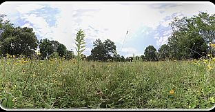 Exhale XR - Belonging - Spoken Word