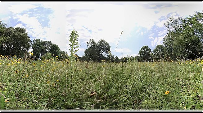 Exhale XR - Belonging - Spoken Word