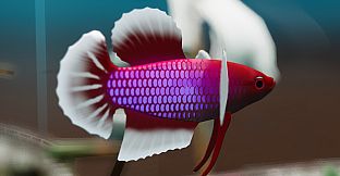 Fish Game - Betta Fish Pack 1