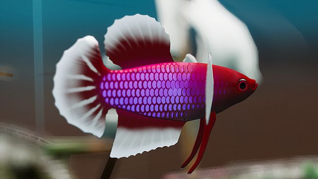 Fish Game - Betta Fish Pack 1