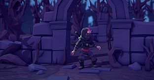 For The King: Ninja Cosmetic Pack