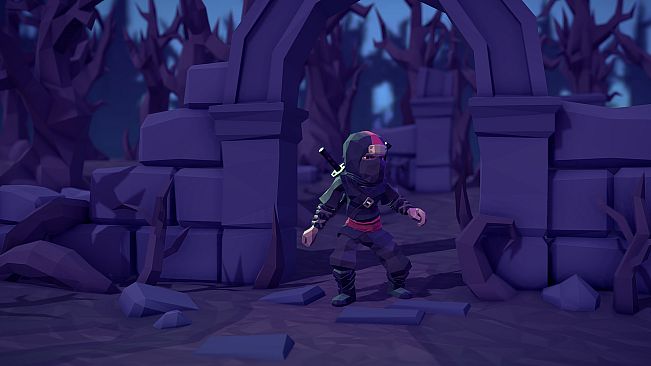 For The King: Ninja Cosmetic Pack