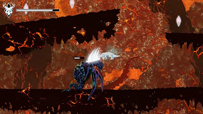 Akari - The Five Eyed Fox