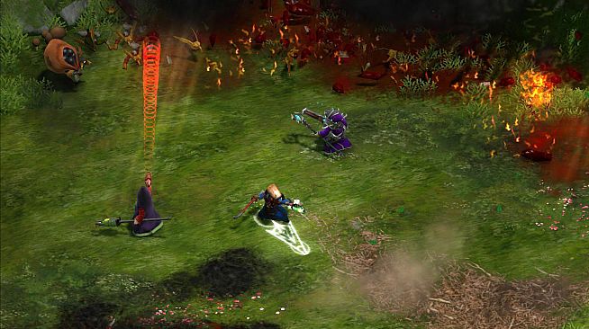 Magicka: Gamer Bundle