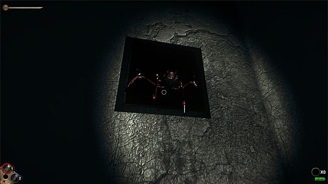 Horror in the Asylum