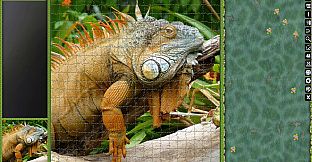 Jigsaw Puzzle Pack - Pixel Puzzles Ultimate: Variety Pack 10