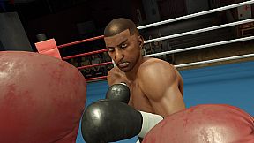 The Thrill of the Fight 2 Spectator