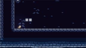 Escape Of The Cat-Aslyum