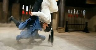 Kung Fu Time Travel