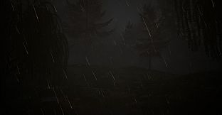 Reverie: Who will Remember You