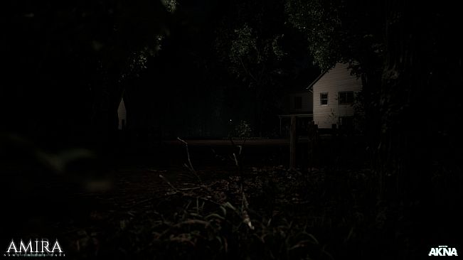 AMIRA - Name in the dark