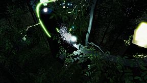 The Ball Flow - Nature and Light