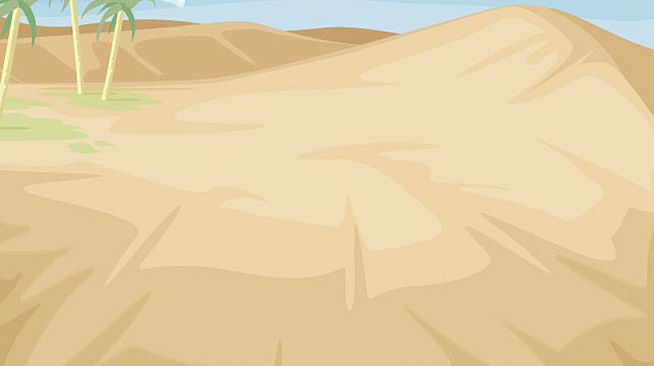 Bikini Island - SCARy START