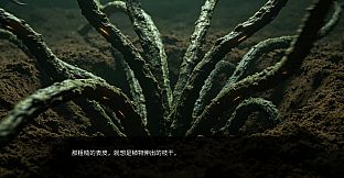 生物实验室：畸变实验记录
