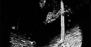 Monkey See, Monkey Doo, Monkey Kiss You