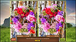 Nature Escapes 2 Collector's Edition