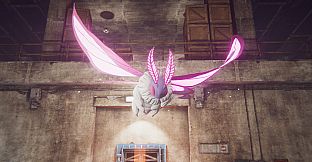 League of Maidens Haydee Edition