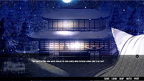 Treasure of a Blizzard