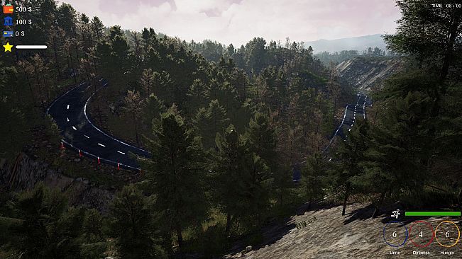 TRADER LIFE SIMULATOR