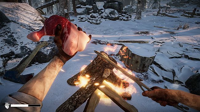 Short Snow | Cold Survival Game