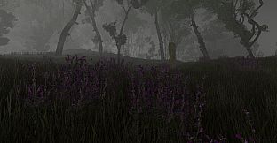Pareidolia