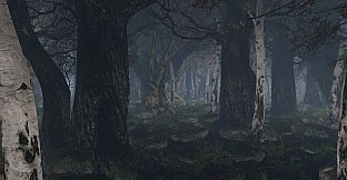 maze to the old castle