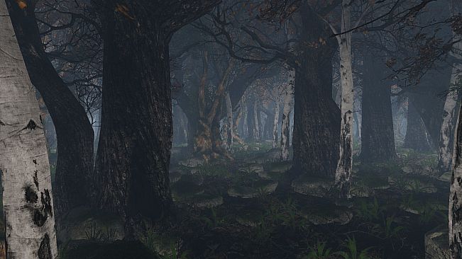 maze to the old castle