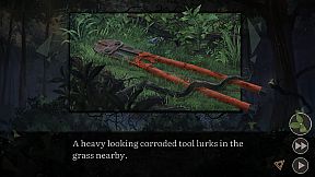 Graces: Posthumous Wish