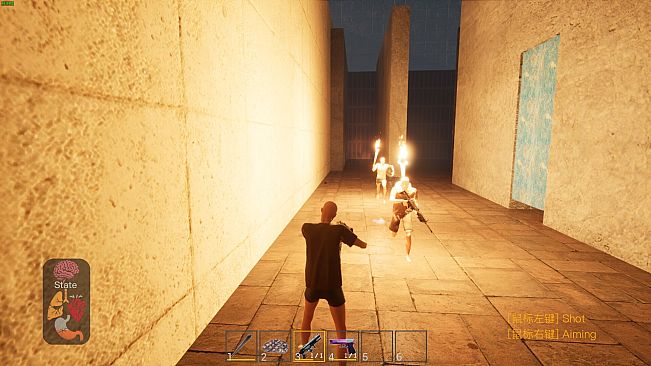 The Maze Survivor: The 9th Entrants