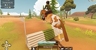 Fernhoof Grove: Riding Academy