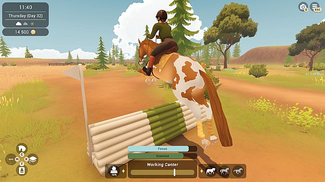 Fernhoof Grove: Riding Academy