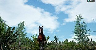 Horse Spirit Valley 2