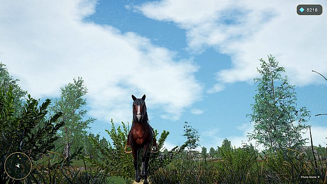 Horse Spirit Valley 2