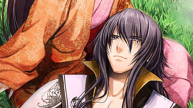 Destiny's Princess: A War Story, A Love Story