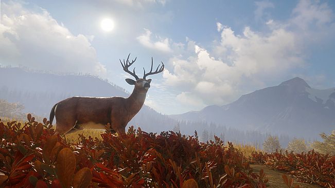 theHunter: Call of the Wild - TruRACS