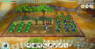 STORY OF SEASONS: Grand Bazaar