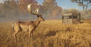 theHunter: Call of the Wild - Tents & Ground Blinds