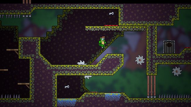 The Adventures of Ally The Alligator Bundle