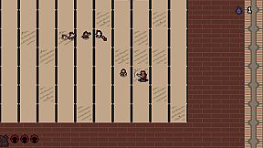 Curse of the Shadow Samurai