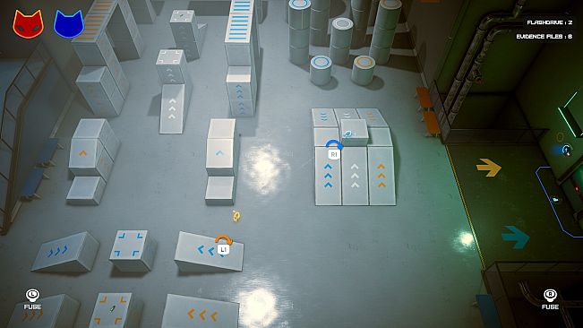 Schrodinger's Cat Burglar