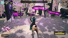 The Witch of Fern Island