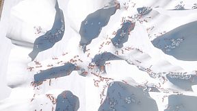 Ant Keeping Simulator