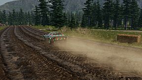 Rally Evolution 2025