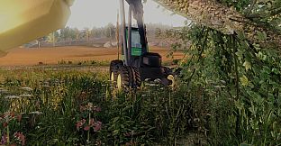 Professional Lumberjack 2015