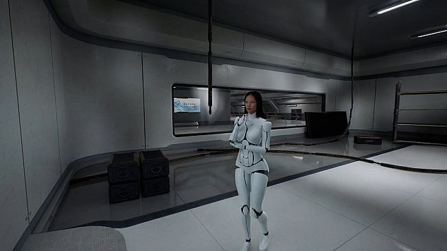 S.E.X. Project: Simulated Emotional Xenotech